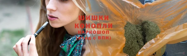 ECSTASY Осинники
