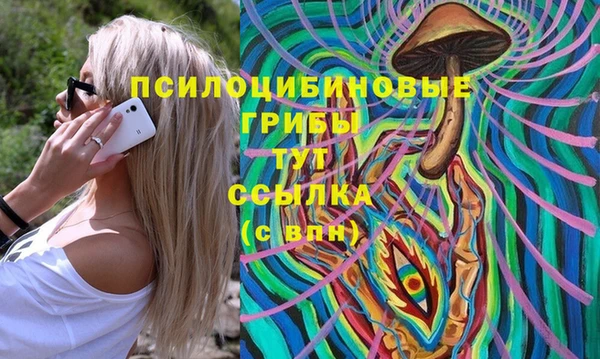 ECSTASY Осинники