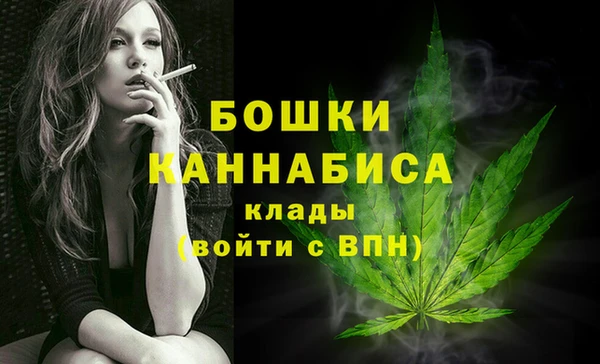 ECSTASY Осинники